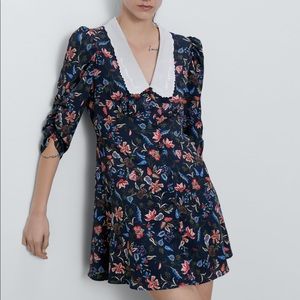 Zara Collar Dress